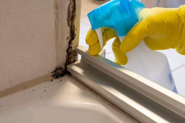 Best Mold Removal Near Me  in Byng, OK