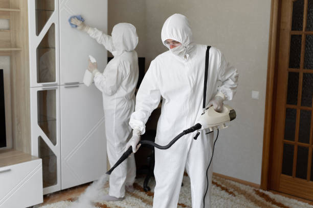 Best Mold Damage Repair  in Byng, OK