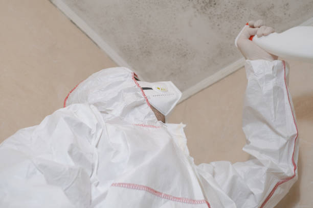 Best Residential Mold Removal  in Byng, OK