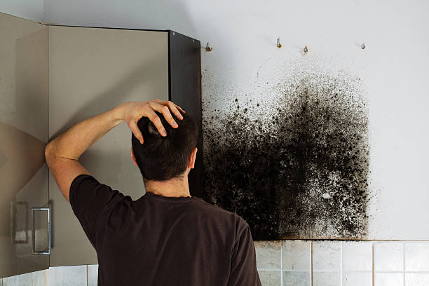 Best Mold Cleaning Services  in Byng, OK